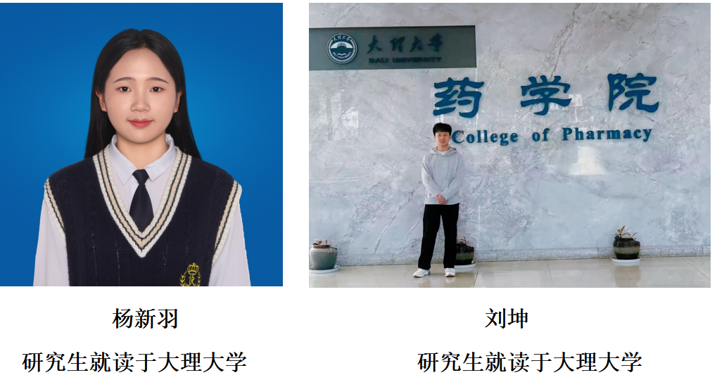 就业2.png